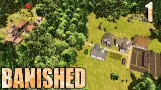 Woodland Settlement | Banished MEGA MOD 1 | Gameplay