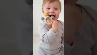 Прорезыватели для зубов и десен | Happy Baby