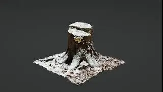 Snow covered mossy tree stump (3D Scan turntable)