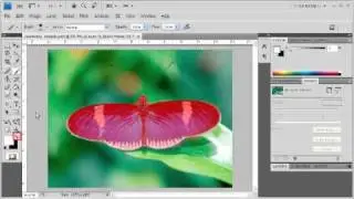 3.6 Using the Quick Mask to Mask Simple Objects: Adobe Photoshop CS4 Video