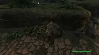 Check Out These Skyrim PlayStation Mods For (2025) - Animations