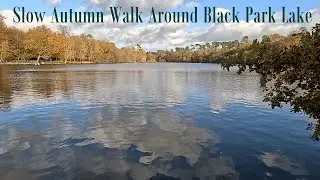 Slow Autumn Walk Around Black Park Lake 4K