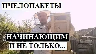 #пчеловодсвто