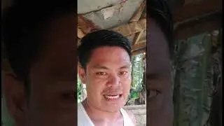 Pagsisimula ng Free Range Native Chicken