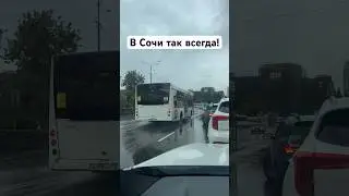 В Сочи это норма