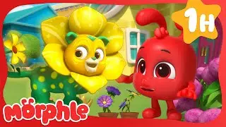The Flower Power Prize |  Mila and Morphle | Fun Cartoons for Kids