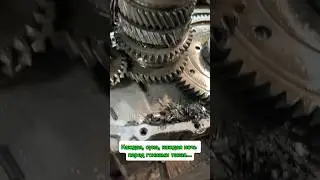 26 июля 2024 г.