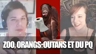 Les zoo, des orangs-outans et du PQ - Bonus live éthologie- La Rediff #5