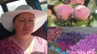 переезд из Сибири на Юг/ у нас живет Клава кока/ год после инсульта/год после перелома шейки бедра/