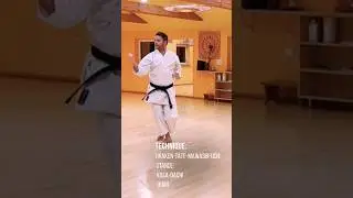 Kata HEIAN YONDAN 🥋 | Part 3/4 | Step by step w/ technique names // Global Karate Academy