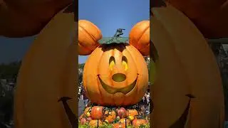 Halloween has arrived to Disneyland! 🎃