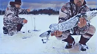 Рыбалка на ЖЕРЛИЦЫ в Глухозимье! Проверка наживок/самоловок! Рыбалка 2021!