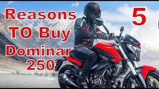 5 Reasons To Buy 2021 Bajaj Dominar 250 BS6 / MotoShastra