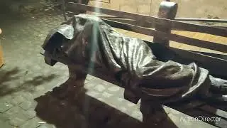Ночной Рим и конец отпуска. Спасибо Жекуля😘.