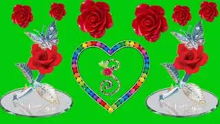 S.letter WhatsApp status green screen status. Flowers green screen effects rose green screen effects