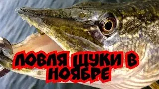 Ловля щуки в ноябре.