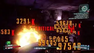 Borderlands 2 Gaige BANDIT Allegiance OP10 build