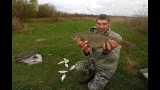 Отпуск на Оке. Хронология выезда. День четвёртый. Поймал своего рекордного Язя на полторашку.