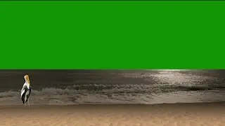 River Green Screen / Beach Green Screen / Green Screen Sea Bird / Nature Green Screen / Sea Waves