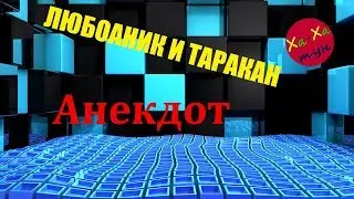 АНЕКДОТ: ЛЮБОВНИК И ТАРАКАН
