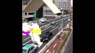 相撲サイエンスAR