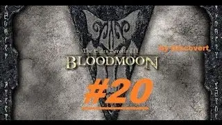 TES 3 BloodMoon - Серия 20. Дикая боль...