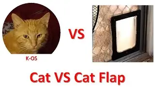 Cat K-OS VS Cat Flap