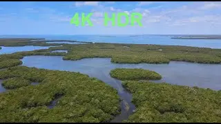 Flying over and walking the Ding Darling Wildlife Refuge, 16 manatees, Sanibel Island, FL, 4K HDR