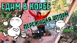 ЧЕДЖУ: корейская итальянская еда, симпатичная кофейня и штормовой ветер