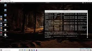 48  Meterpreter Commands Part 1