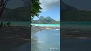 Private Island Beach 🏝 Bora Bora, French Polynesia 🇵🇫 4K Travel #shorts