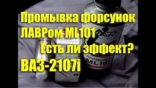 DIY VAZ-2107i fuel injector cleaning. Lavr ML101 – does it work?