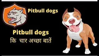 Pitbull dog ki five important tip || My first video ||  @Gamer_zenox