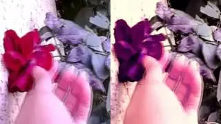 Vintage Effect Using Sony Vegas