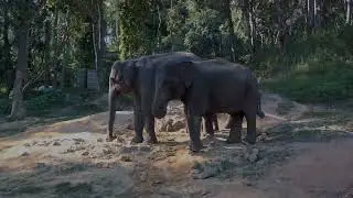 Mondulkiri : Cambodia's Untamed Wilderness
