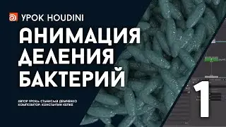 Урок Houdini “Анимация деления бактерий - Часть 1” (RUS)