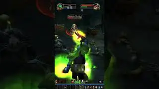 All Good Things Come to An End Wow Classic Hardcore #wowclassic #shorts #wow #shaman #gaming