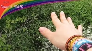 ASMR/АСМР подоконная природа. Болташечка шепотом.