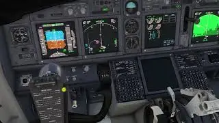 B739 PMDG RNAV RNP new RF leg feature Approach and landing (VATSIM MSFS)