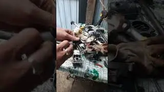 Мотокоса Huter заклинила,обильная смазка! #ремонт #stihl #diy