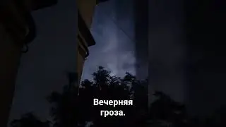 28 июля 2023 г.