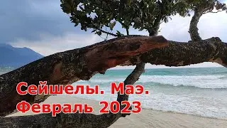 Путешествие на остров Маэ. Сейшелы. 2023 г. Часть 4.