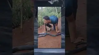 #memes
