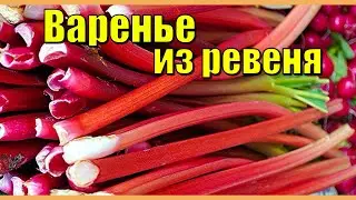 Life in the German countryside. Rhubarb jam. Ukrainians in Germany.
