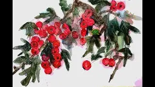 Chinese Hawthorn.