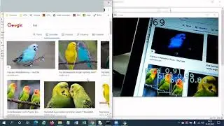 Yolo ve OpenCV ile canlı video üzerinde nesne tanıma 2