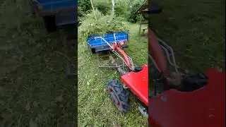 Гарний укіс під Мотор Січ