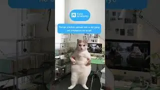 Сила воли💪🏻