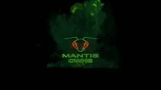 New Intro Video for Streams - MantisOwns
