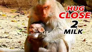 2 MILK CLOSED ..!! JINX CRY LOUD ANGRY MOM HARD HUG CLOSE MILK ON BACK NOT ALLOW HER GET